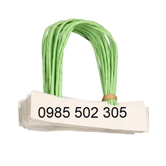 Quai giấy xoắn kraft màu xanh ngọc